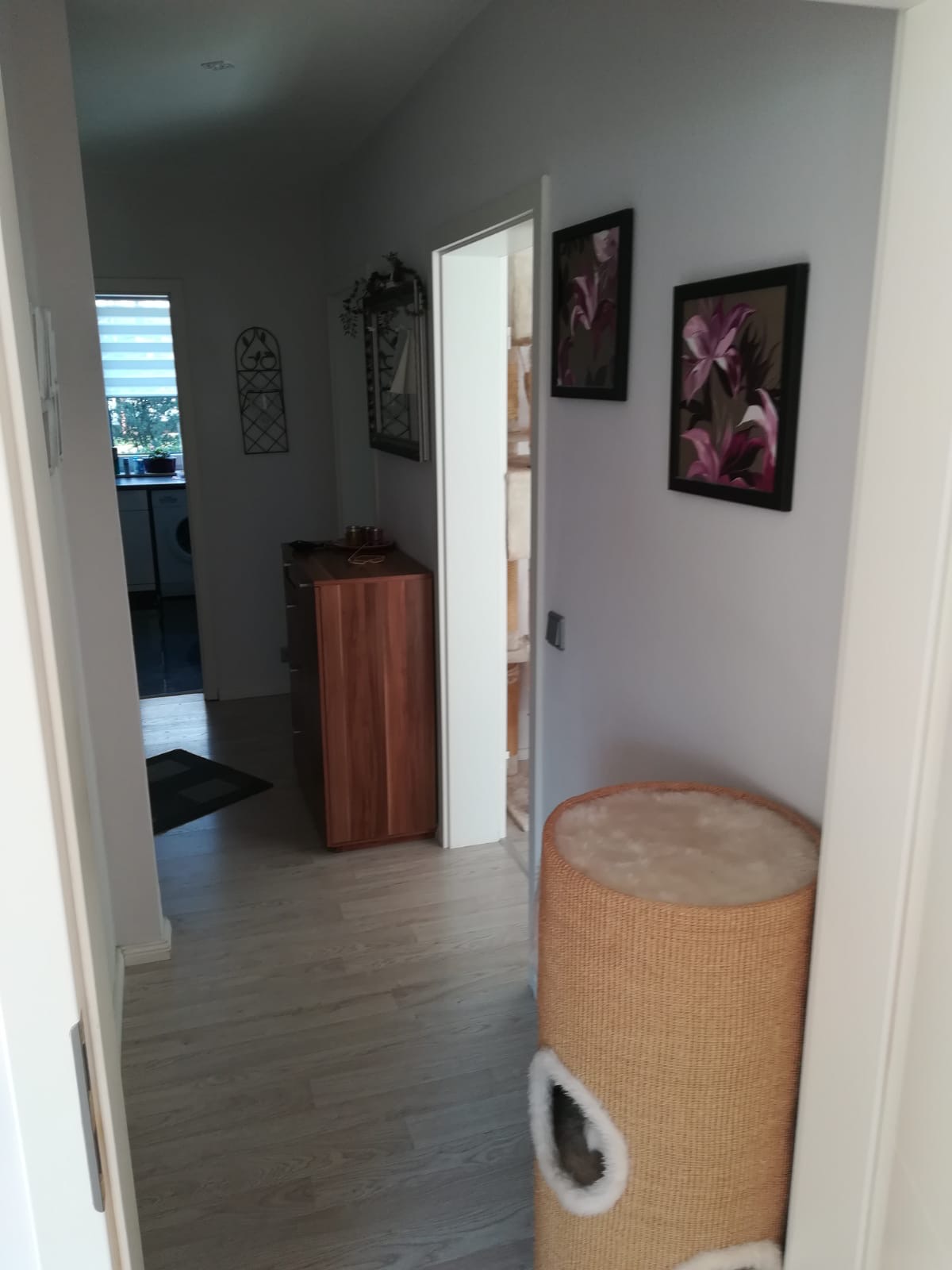 Hochparterre! Sanierte 3 Zimmer Wohnung, super geschnitten ...